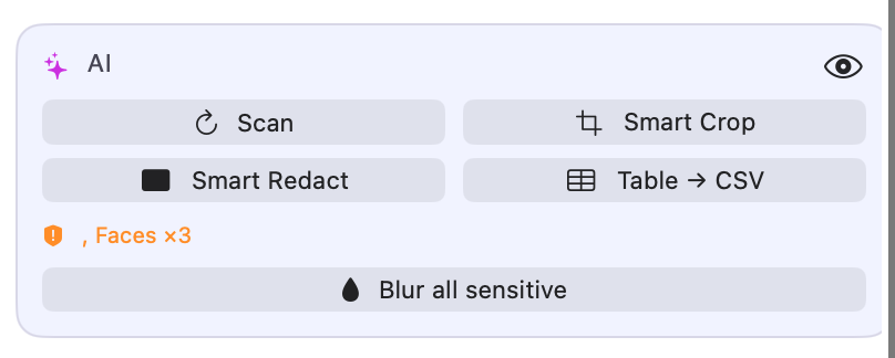 Zeryth AI panel with Scan, Smart Crop, Smart Redact, Table to CSV and Blur all sensitive